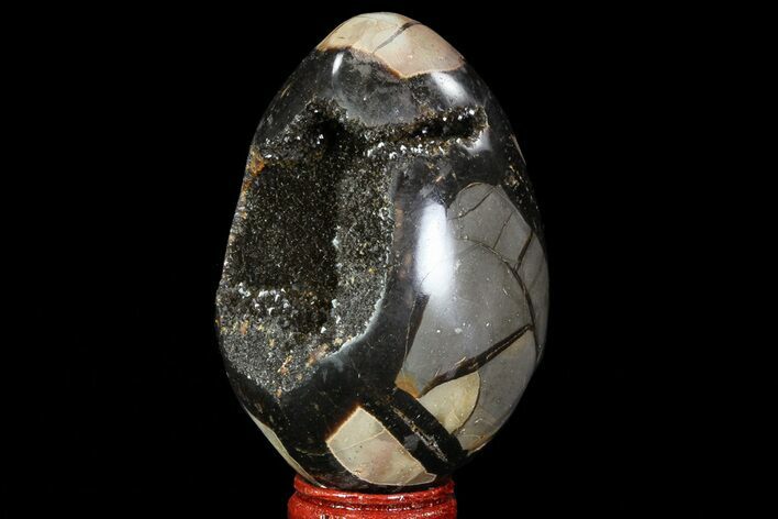Septarian Dragon Egg Geode - Black Crystals #71899